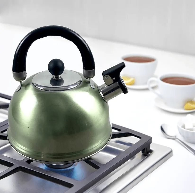 Stainless Steel Green Kettle - 2.5L